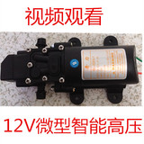 12V奇力自吸微型电动喷雾器水泵电机电泵用电家用增压泵洗车泵