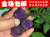 黑土豆 纯种黑美人土豆种子6.00元/包