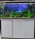 佳宝鱼缸水族箱含灯配过滤纯生态鱼缸可搭配真水草造景免换水特价