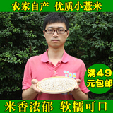 新货贵州农家优质小薏仁米 薏米仁薏苡仁香糯可磨粉 五谷杂粮500g