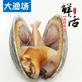 大连新鲜大蛤 大蛤蜊  鲜活天鹅蛋 特产海鲜 25元/斤 500G