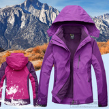 冬季户外中老年冲锋衣女三合一两件套男加厚保暖防风大码紫登山服
