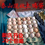 山东泰安 泰山农家 散养土鸡蛋 草鸡蛋 有机山鸡蛋 柴鸡蛋满20个