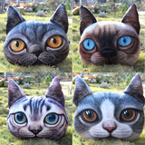 大号包邮3D立体印刷萌猫抱枕喵星人枕头猫咪靠垫逼真大眼猫咪公仔