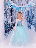 2015新款迪斯尼Frozen冰雪奇缘莎公主裙艾莎女童长袖连衣裙秋冬潮