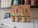日照绿茶2016新茶叶明前春茶山东特产绿茶自产自销礼盒装送礼包邮