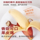 美人蕉红香蕉新鲜水果营养健康女神孕妇最爱天宝香蕉4斤批发包邮