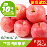 烟台苹果栖霞红富士苹果10斤 山东特产新鲜水果冰糖心健康苹果