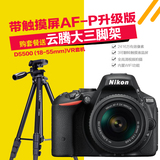 [领券购]Nikon/尼康D5500套机AF-P18-55防抖镜头d5500单反相机