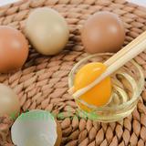 野鸡蛋种蛋新鲜原生态受精蛋农家散养可孵小鸡土鸡蛋喜蛋30枚包邮