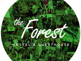 韩国济州岛森林青年旅馆 The Forest Hostel 汉拿山国家公园