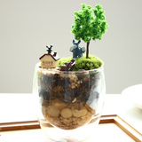 苔藓微景观生态瓶办公室创意迷你玻璃盆栽青苔小植物diy龙猫摆件