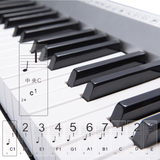 超薄透明电子琴贴钢琴贴纸五线谱简谱61键88电钢键盘练习键位对照