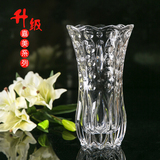 欧式花瓶摆件 水培富贵竹花瓶玻璃透明 花插餐桌花瓶大小花瓶包邮