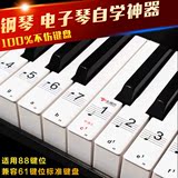 无胶吸附型88键 61键透明五线谱简谱琴键贴纸钢琴 电子琴键盘贴