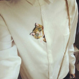 2016春装新款打底白衬衫女欧时力新式长袖猫咪韩版文艺女士棉衬衣