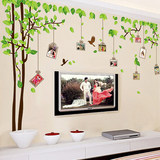 照片树墙贴可移除客厅沙发电视背景墙贴纸卧室温馨浪漫床头相框贴