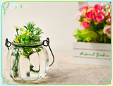 创意日式南瓜玻璃小挂瓶玻璃落地花瓶吊兰式透明玻璃花瓶田园花艺