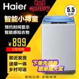Haier/海尔 EB55M2WH小神童洗衣机全自动小型单筒波轮家用5.5公斤