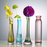 彩色小花瓶单支花瓶玻璃餐桌小号花插台面花瓶现代简约花器透明