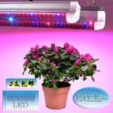 植物灯 生长灯 补光灯 LED植物生产灯ledT8T5灯管 蔬菜灯花卉灯