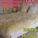 澳洲纯羊毛床垫 床毯羊皮床褥子皮毛一体单人双人床 床毯学生包邮