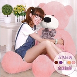 熊熊毛绒玩具Teddy Bear/泰迪熊生日礼物2岁大号女毛绒布艺类玩具