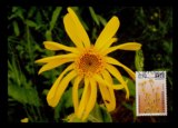 卢森堡 2010 自然保护 花卉 邮票 极限片
