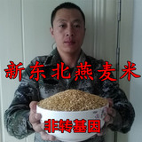 东北燕麦米燕麦仁有机杂粮500g农家自产黑龙江新米非转基因