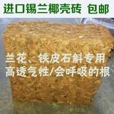 椰砖|椰壳砖 兰花石斛专用栽培基质 透气性好 兰花土 椰块 包邮