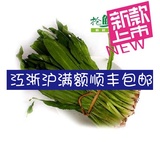 新鲜蔬菜 泰国香菜 刺芫茜 香菜 刺芹芫荽250g