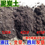 泥炭土 草炭 进口 无菌透气保湿保肥营养土有机肥料 散装1L/220g