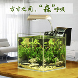 定制 迷你超白鱼缸办公室桌面玻璃小鱼缸水族箱水草缸创意鱼缸新