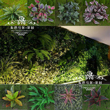 仿真植物墙 插花 装饰高档绿植配材波斯草绿萝叶草墙材料制作方法
