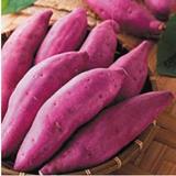 越南进口小紫薯新鲜红薯蔬菜鲜果 紫番薯紫 红心地瓜 紫心地瓜