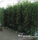 仿真植物假植物花客厅隔断屏风 阳台装饰环保仿真加密 仿真竹子发