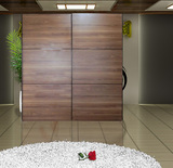 可定制定做家具推拉门衣柜非烤漆板式木质移门卧室柜大储物滑门柜