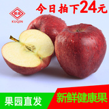 【酷秦】新鲜水果香甜蛇果礼县花牛苹果宝宝粉苹果5 斤12个装包邮