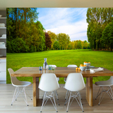 立体3D大型森林壁画 绿色环保客厅沙发背景墙纸 现代风景草地壁纸