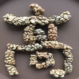 高晟庄园云南猫屎咖啡原料豆咖啡装饰香醇咖啡中度烘焙黑咖啡生豆