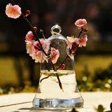 透明玻璃花瓶创意铃铛花瓶可悬挂吊饰花器