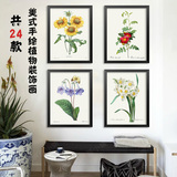 手绘植物装饰画美式花卉有框画欧式田园壁画客厅墙画卧室挂画兰花