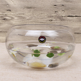 可养殖睡莲水仙碗莲莲花水培植物 养鱼缸小型水族箱 玻璃花盆透明