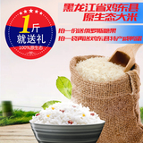 原生态黑龙江鸡东大米五常大米香米饭正餐无污染新米粳米东北特产