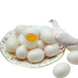聚怀斋 鸽子蛋30枚 新鲜农家散养 白鸽蛋土鸽蛋 五谷喂养鸽子蛋