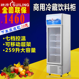 穗凌 LG4-259LT冰柜保鲜柜展示柜立式商用家用冷藏水果饮料柜冰柜