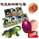 礼盒装泡水孵化恐龙蛋复活蛋动物 膨胀蛋魔术蛋模型玩具