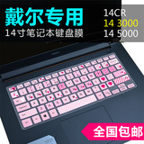 戴尔Inspiron灵越 14 3000(3458)键盘膜14寸保护膜电脑贴膜笔记本