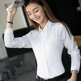 2016春季韩版女装纯棉修身文艺百搭白色衬衣长袖打底衫衬衫上衣潮