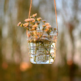 Manley 现代简约田园透明悬挂吊篮玻璃花瓶 水培植物花瓶家居挂件
